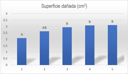 Variación en el control de H. zea con un mismo evento Bt: el caso de los maíces VT Triple Pro - Image 2
