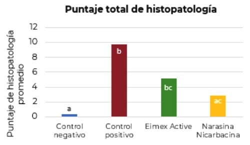 Evaluación de la efectividad de flavonoides cítricos en el control de eimeria spp. En pollos broiler desafiados experimentalmente - Image 3