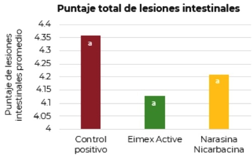 Evaluación de la efectividad de flavonoides cítricos en el control de eimeria spp. En pollos broiler desafiados experimentalmente - Image 2