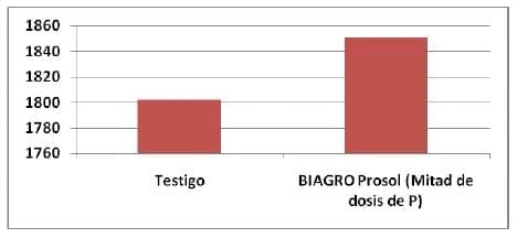 Los promotores de crecimiento producen mejoras en los componentes de rendimiento de trigo y maíz - Image 6
