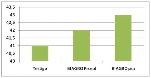 Los promotores de crecimiento producen mejoras en los componentes de rendimiento de trigo y maíz - Image 2