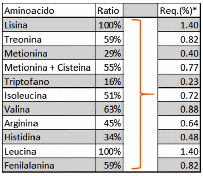 Efecto de altos niveles de leucina en dietas de cerdos - Image 3