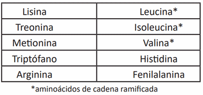 Efecto de altos niveles de leucina en dietas de cerdos - Image 1