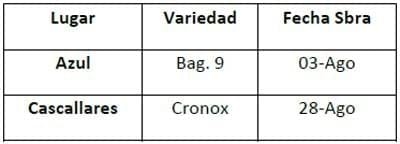 BIAGRO Prosol y BIAGRO psa en Trigo Resultados de ensayos 2010. Zona Mar y Sierras - Image 1