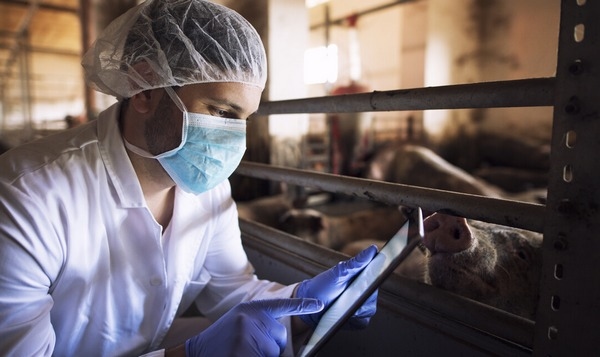 ¿Son las enzimas que degradan los polisacáridos no amiláceos (PNAs) el link entre la nutrición y la salud intestinal? - Image 1