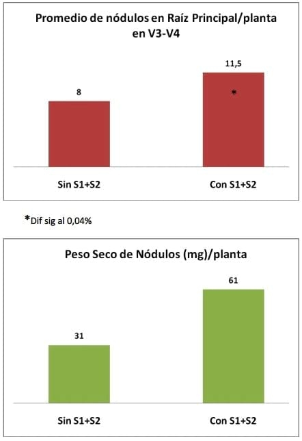 Preinoculado, Máxima protección y respuesta a campo - INTA-BIAGRO - Image 2