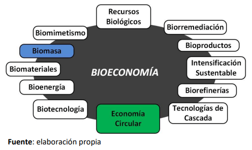 Figura N°1: Mapa conceptual de la Bioeconomía