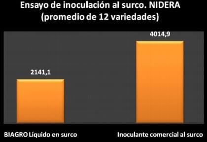 Experiencias en Inoculación en surco - Image 1