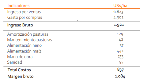 Cuadro 3. Indicadores económicos
