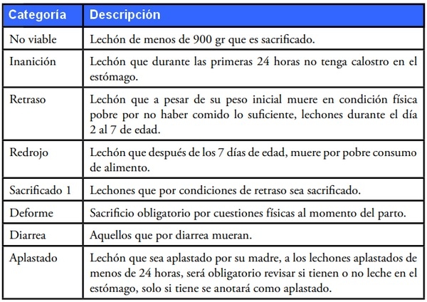 Mejora en el manejo de la cerda para disminuir la mortalidad de lechones - Image 6