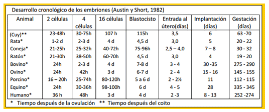 Análisis de puntos críticos en producción ovina de carne. Tercera Parte - Image 4