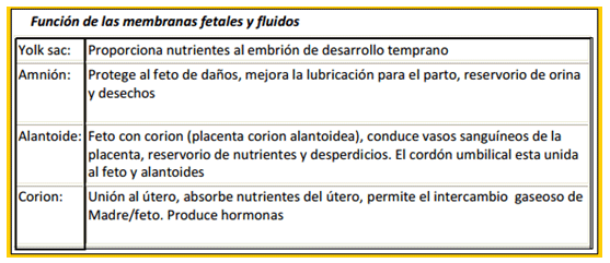 Análisis de puntos críticos en producción ovina de carne. Tercera Parte - Image 6