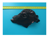 Análisis de puntos críticos en producción ovina de carne. Tercera Parte - Image 47
