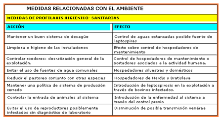 Análisis de puntos críticos en producción ovina de carne. Tercera Parte - Image 51