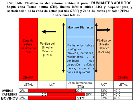 Análisis de puntos críticos en producción ovina de carne. Tercera Parte - Image 10