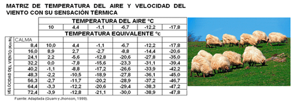 Análisis de puntos críticos en producción ovina de carne. Tercera Parte - Image 22