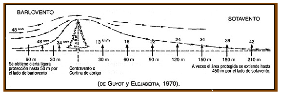 Análisis de puntos críticos en producción ovina de carne. Tercera Parte - Image 28