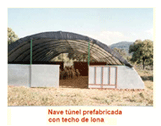 Análisis de puntos críticos en producción ovina de carne. Tercera Parte - Image 23