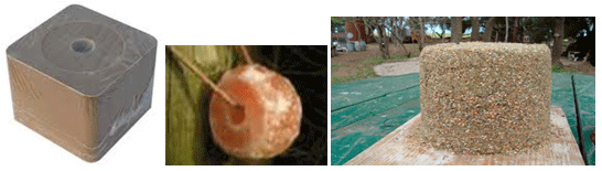 Análisis de puntos críticos en producción ovina de carne. Tercera Parte - Image 21