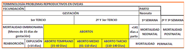 Análisis de puntos críticos en producción ovina de carne. Tercera Parte - Image 35