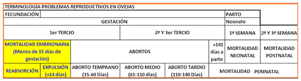 Análisis de puntos críticos en producción ovina de carne. Tercera Parte - Image 9
