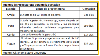 Análisis de puntos críticos en producción ovina de carne. Tercera Parte - Image 7