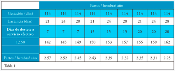 Manejo de hembras primerizas - Image 3