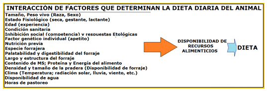 Mejoramiento de los índices reproductivos o de eficiencia reproductiva ovina: Puntos Criticos cuarta parte - Image 4