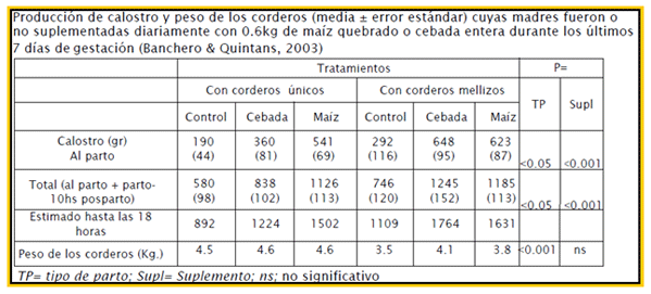 Mejoramiento de los índices reproductivos o de eficiencia reproductiva ovina: Puntos Criticos cuarta parte - Image 51