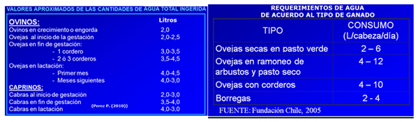 Mejoramiento de los índices reproductivos o de eficiencia reproductiva ovina: Puntos Criticos cuarta parte - Image 19