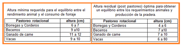Mejoramiento de los índices reproductivos o de eficiencia reproductiva ovina: Puntos Criticos cuarta parte - Image 6
