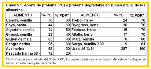 Mejoramiento de los índices reproductivos o de eficiencia reproductiva ovina: Puntos Criticos cuarta parte - Image 44