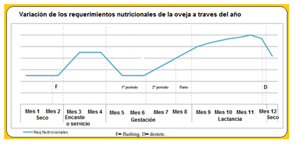Mejoramiento de los índices reproductivos o de eficiencia reproductiva ovina: Puntos Criticos cuarta parte - Image 35