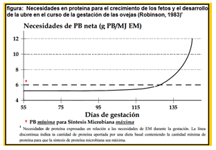 Mejoramiento de los índices reproductivos o de eficiencia reproductiva ovina: Puntos Criticos cuarta parte - Image 42