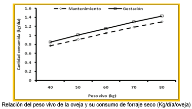 Mejoramiento de los índices reproductivos o de eficiencia reproductiva ovina: Puntos Criticos cuarta parte - Image 21