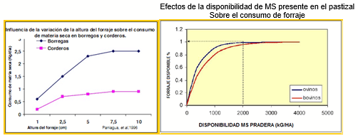 Mejoramiento de los índices reproductivos o de eficiencia reproductiva ovina: Puntos Criticos cuarta parte - Image 5