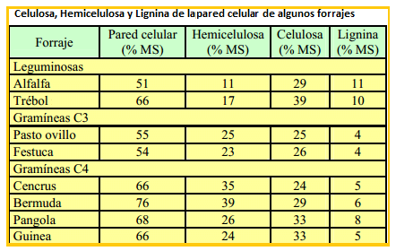 Mejoramiento de los índices reproductivos o de eficiencia reproductiva ovina: Puntos Criticos cuarta parte - Image 16