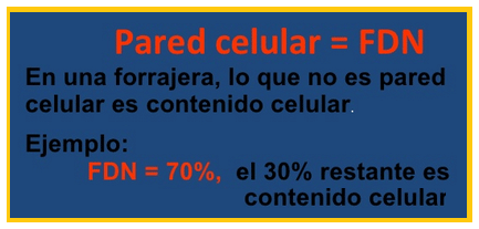 Mejoramiento de los índices reproductivos o de eficiencia reproductiva ovina: Puntos Criticos cuarta parte - Image 13