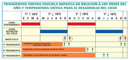 Mejoramiento de los índices reproductivos o de eficiencia reproductiva ovina: Puntos Criticos cuarta parte - Image 70