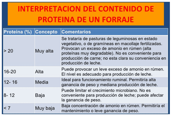 Mejoramiento de los índices reproductivos o de eficiencia reproductiva ovina: Puntos Criticos cuarta parte - Image 24