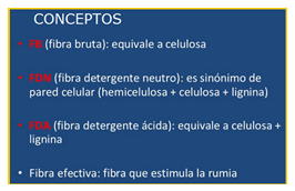 Mejoramiento de los índices reproductivos o de eficiencia reproductiva ovina: Puntos Criticos cuarta parte - Image 11