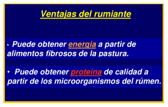 Mejoramiento de los índices reproductivos o de eficiencia reproductiva ovina: Puntos Criticos cuarta parte - Image 30