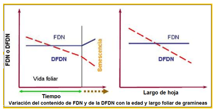 Mejoramiento de los índices reproductivos o de eficiencia reproductiva ovina: Puntos Criticos cuarta parte - Image 14