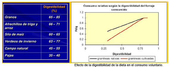 Mejoramiento de los índices reproductivos o de eficiencia reproductiva ovina: Puntos Criticos cuarta parte - Image 7