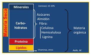 Mejoramiento de los índices reproductivos o de eficiencia reproductiva ovina: Puntos Criticos cuarta parte - Image 10