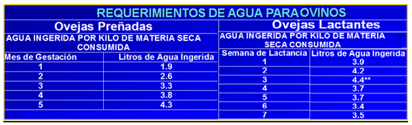Mejoramiento de los índices reproductivos o de eficiencia reproductiva ovina: Puntos Criticos cuarta parte - Image 20