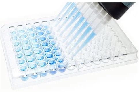 Micoplasmosis: ¿qué vacuna proporciona mayor protección? - Image 5
