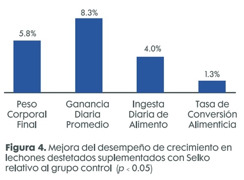 ¿Cómo la suplementación del agua con ácidos orgánicos mejora el desempeño de lechones destetados? - Image 8