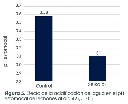 ¿Cómo la suplementación del agua con ácidos orgánicos mejora el desempeño de lechones destetados? - Image 9