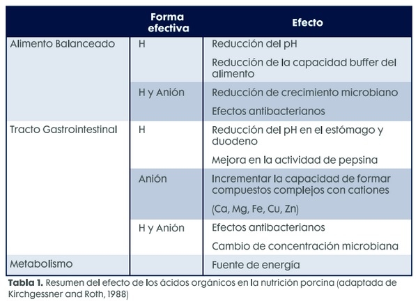 ¿Cómo la suplementación del agua con ácidos orgánicos mejora el desempeño de lechones destetados? - Image 2